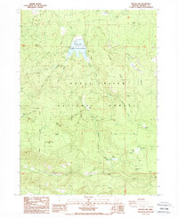 Willow Lake 1988 topographic map preview