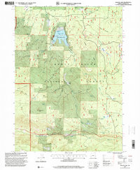 Willow Lake 1997 topographic map thumbnail