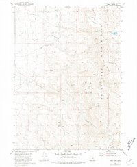 Windy Point 1980 topographic map preview