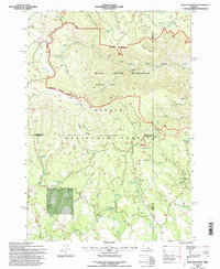 Wolf Mountain 1992 topographic map thumbnail