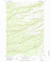 Wolf Run 1962 topographic map preview