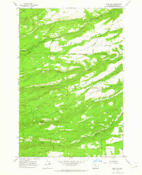 Wolf Run 1962 topographic map preview