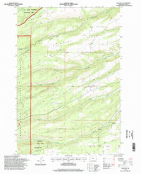 Wolf Run 1996 topographic map thumbnail