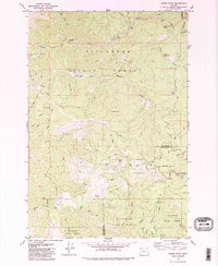 Woods Point 1979 topographic map thumbnail