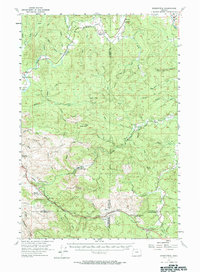 Birkenfeld 1955 topographic map thumbnail