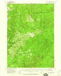 Bone Mountain 1954 topographic map thumbnail