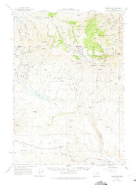 Bridgeport 1964 topographic map thumbnail