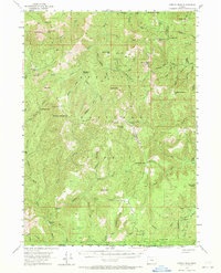 Chetco Peak 1954 topographic map thumbnail
