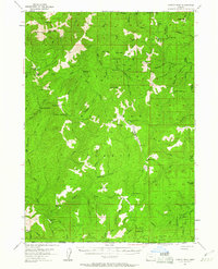Chetco Peak 1954 topographic map thumbnail