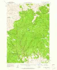 Delintment Lake 1961 topographic map thumbnail