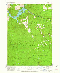 Detroit 1956 topographic map thumbnail