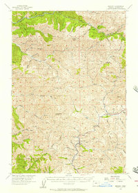 Enright 1955 topographic map thumbnail