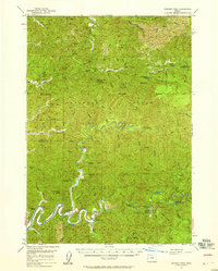 Goodwin Peak 1956 topographic map thumbnail