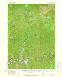 Goodwin Peak 1956 topographic map thumbnail