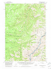 Homestead 1957 topographic map thumbnail