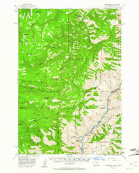 Homestead 1957 topographic map thumbnail