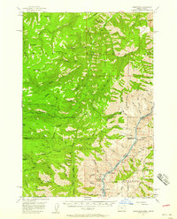 Homestead 1957 topographic map thumbnail