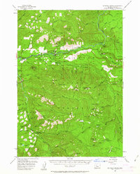 Mc Kenzie Bridge 1955 topographic map thumbnail