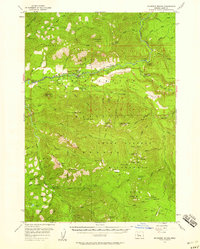 Mc Kenzie Bridge 1955 topographic map thumbnail