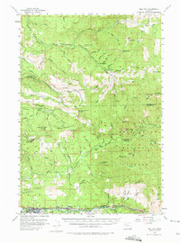 Mill City 1955 topographic map preview