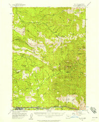 Mill City 1955 topographic map thumbnail