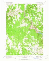 Powell Buttes 1962 topographic map thumbnail
