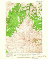 Richmond 1953 topographic map preview