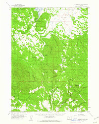 Riverbed Butte 1960 topographic map preview