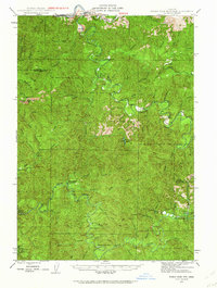 Roman Nose Mtn 1942 topographic map thumbnail