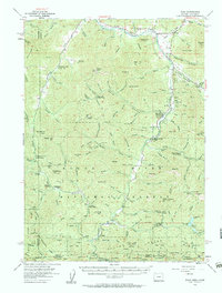 Ruch 1954 topographic map preview