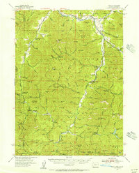 Ruch 1954 topographic map preview