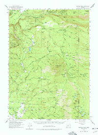 Rustler Peak 1955 topographic map preview