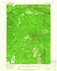 Rustler Peak 1955 topographic map preview