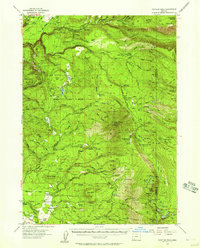 Rustler Peak 1955 topographic map preview
