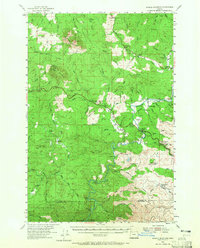 Saddle Mountain 1955 topographic map preview