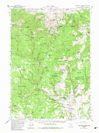 Sawtooth Creek topographic map thumbnail