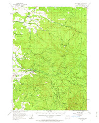 Snow Peak 1951 topographic map thumbnail