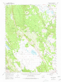 Swan Lake 1957 topographic map preview