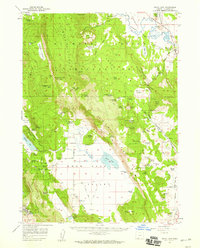 Swan Lake 1957 topographic map preview