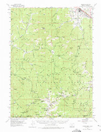 Talent 1954 topographic map preview