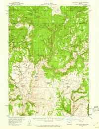 West Myrtle Butte 1959 topographic map thumbnail