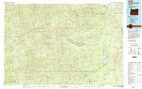 Diamond Lake 1978 topographic map thumbnail