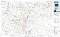 Steens Mtn 1982 topographic map thumbnail