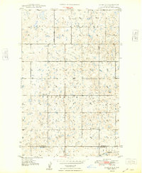 Alamo N.E. topographic map thumbnail