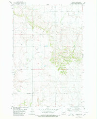 Fallon 1980 topographic map thumbnail