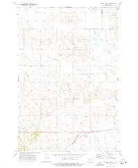Indian Butte 1973 topographic map preview