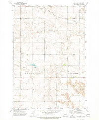 Jung Lake 1973 topographic map thumbnail