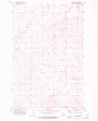 Manning NW 1973 topographic map thumbnail