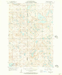 Medina SW 1955 topographic map thumbnail