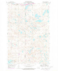Medina SW 1975 topographic map thumbnail